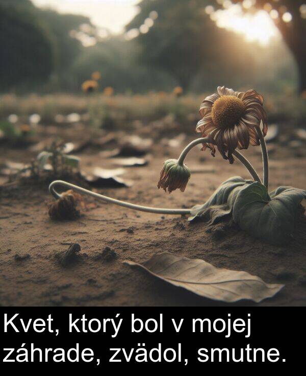 smutne: Kvet, ktorý bol v mojej záhrade, zvädol, smutne.