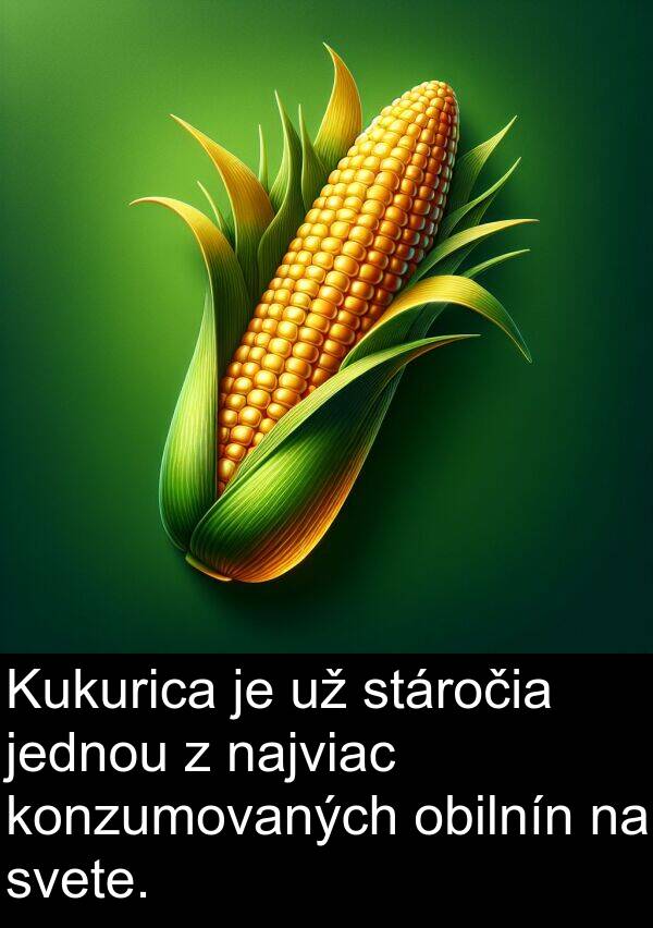 svete: Kukurica je už stáročia jednou z najviac konzumovaných obilnín na svete.