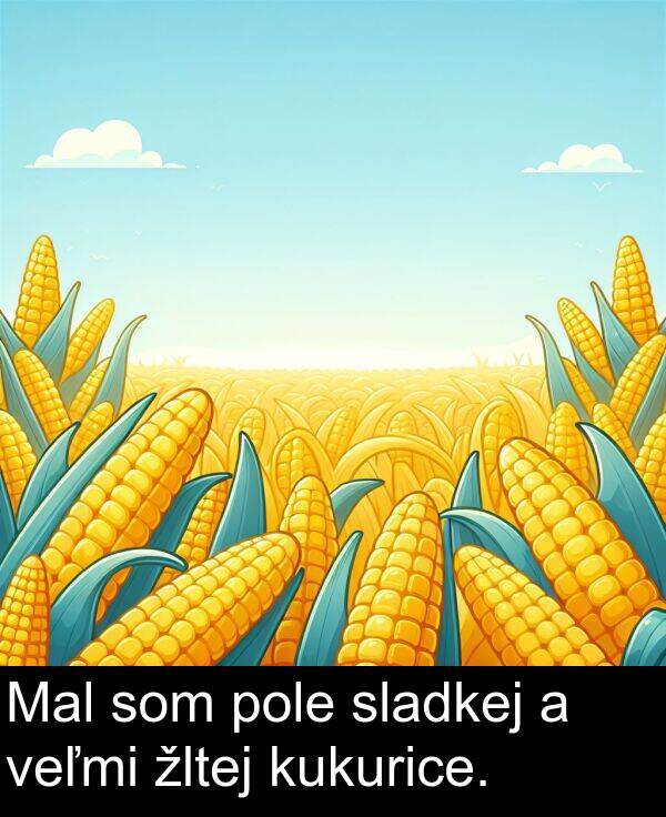 sladkej: Mal som pole sladkej a veľmi žltej kukurice.
