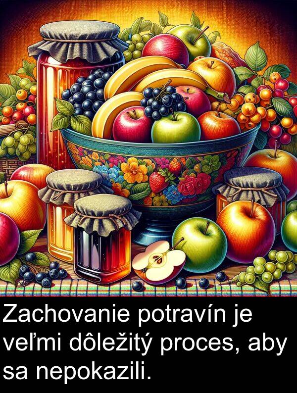 nepokazili: Zachovanie potravín je veľmi dôležitý proces, aby sa nepokazili.