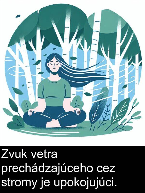 prechádzajúceho: Zvuk vetra prechádzajúceho cez stromy je upokojujúci.