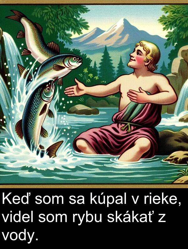 vody: Keď som sa kúpal v rieke, videl som rybu skákať z vody.