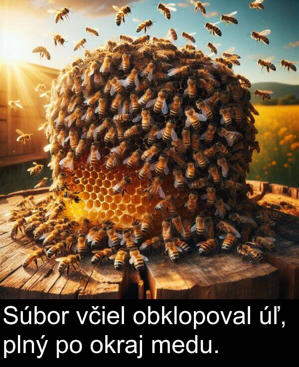 okraj: Súbor včiel obklopoval úľ, plný po okraj medu.