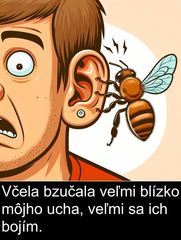 ich: Včela bzučala veľmi blízko môjho ucha, veľmi sa ich bojím.