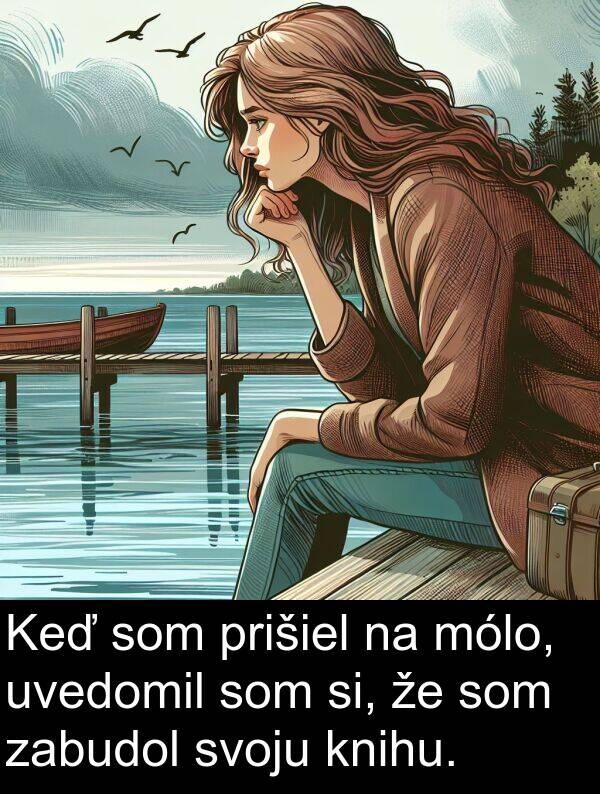 knihu: Keď som prišiel na mólo, uvedomil som si, že som zabudol svoju knihu.