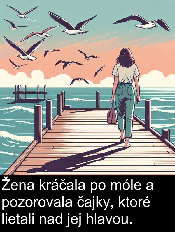 nad: Žena kráčala po móle a pozorovala čajky, ktoré lietali nad jej hlavou.