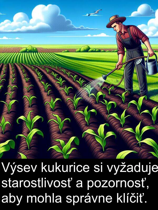 vyžaduje: Výsev kukurice si vyžaduje starostlivosť a pozornosť, aby mohla správne klíčiť.