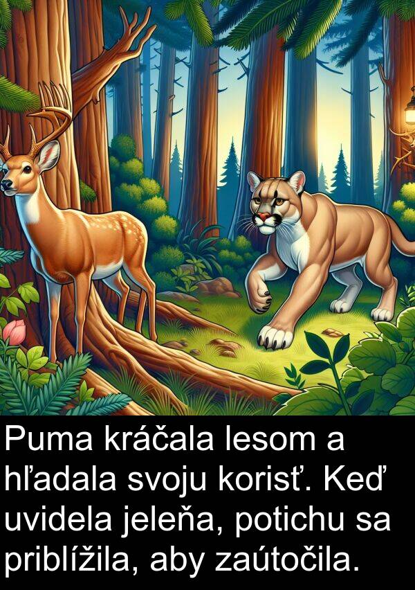 lesom: Puma kráčala lesom a hľadala svoju korisť. Keď uvidela jeleňa, potichu sa priblížila, aby zaútočila.