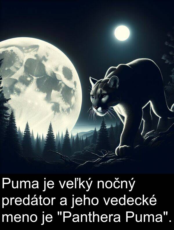 vedecké: Puma je veľký nočný predátor a jeho vedecké meno je "Panthera Puma".