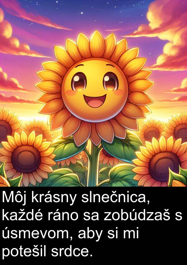 slnečnica: Môj krásny slnečnica, každé ráno sa zobúdzaš s úsmevom, aby si mi potešil srdce.