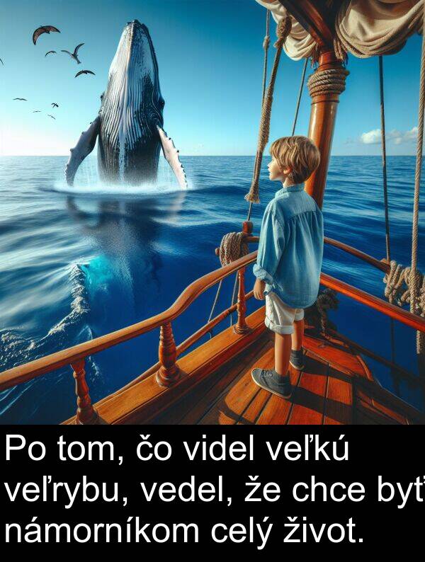 vedel: Po tom, čo videl veľkú veľrybu, vedel, že chce byť námorníkom celý život.