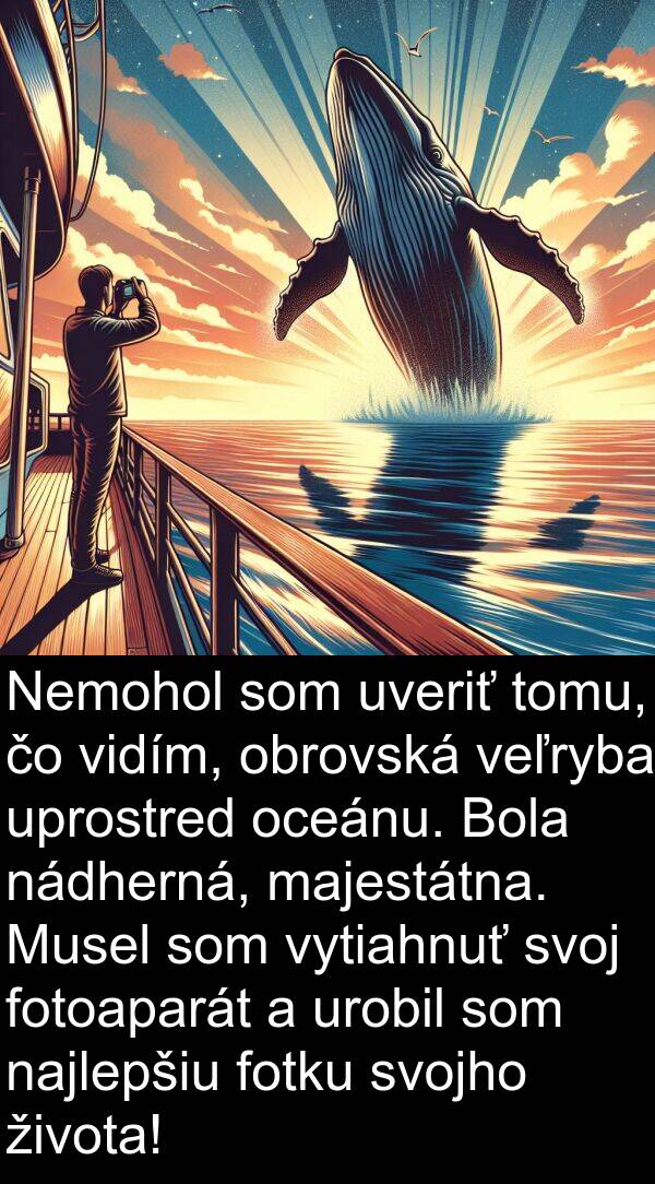 nádherná: Nemohol som uveriť tomu, čo vidím, obrovská veľryba uprostred oceánu. Bola nádherná, majestátna. Musel som vytiahnuť svoj fotoaparát a urobil som najlepšiu fotku svojho života!