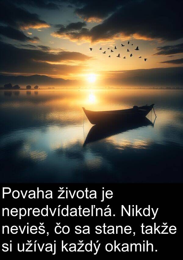 okamih: Povaha života je nepredvídateľná. Nikdy nevieš, čo sa stane, takže si užívaj každý okamih.