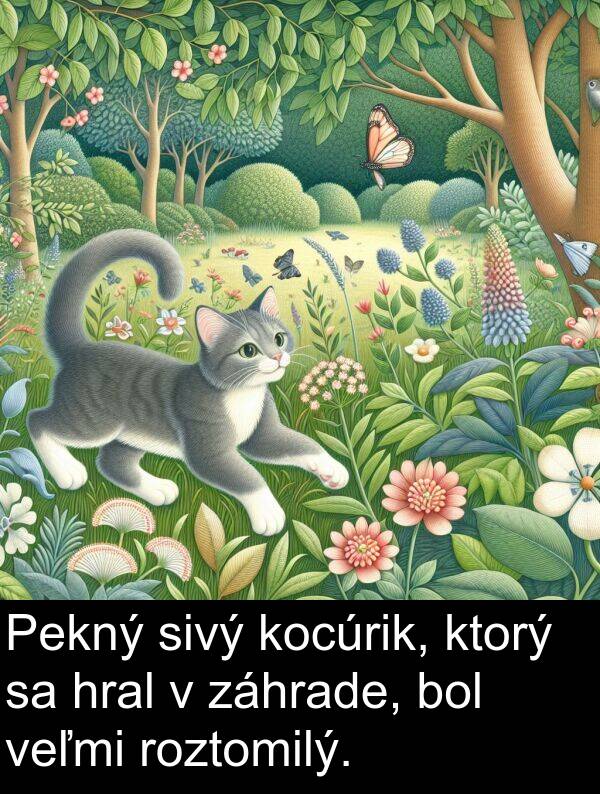 sivý: Pekný sivý kocúrik, ktorý sa hral v záhrade, bol veľmi roztomilý.