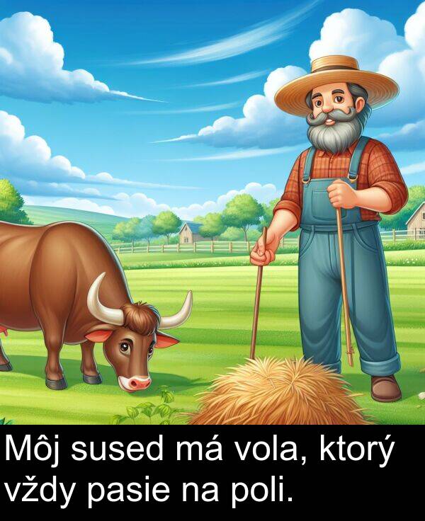 sused: Môj sused má vola, ktorý vždy pasie na poli.