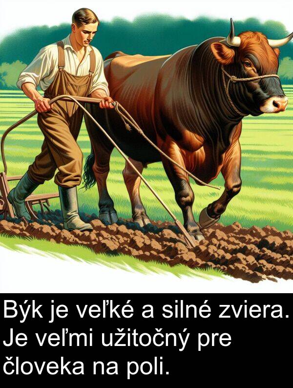 silné: Býk je veľké a silné zviera. Je veľmi užitočný pre človeka na poli.