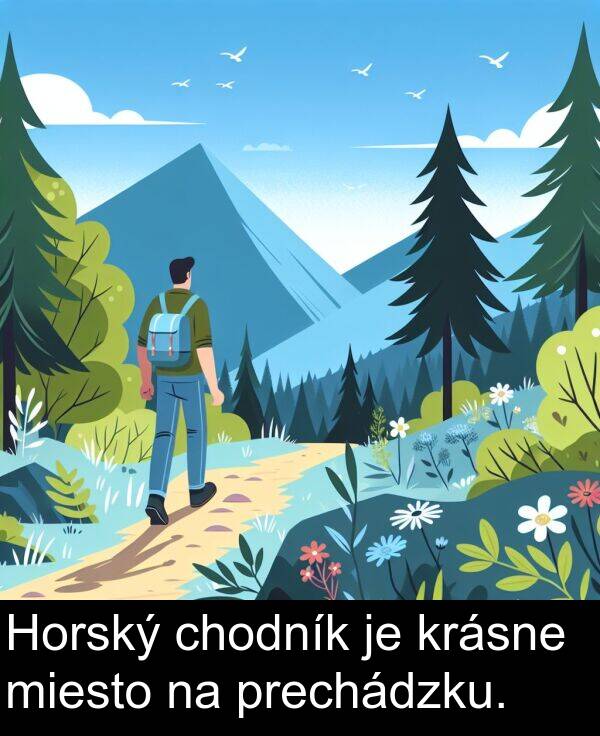 chodník: Horský chodník je krásne miesto na prechádzku.