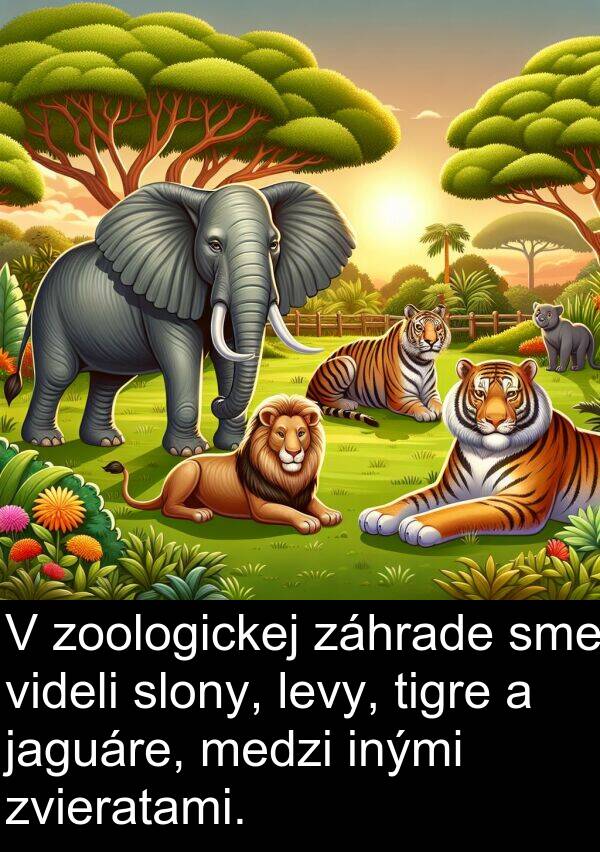 záhrade: V zoologickej záhrade sme videli slony, levy, tigre a jaguáre, medzi inými zvieratami.