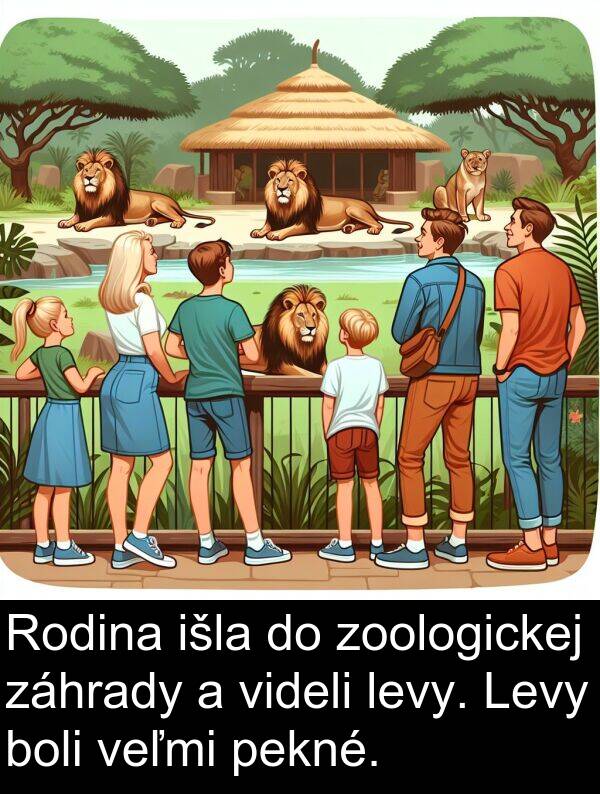 išla: Rodina išla do zoologickej záhrady a videli levy. Levy boli veľmi pekné.