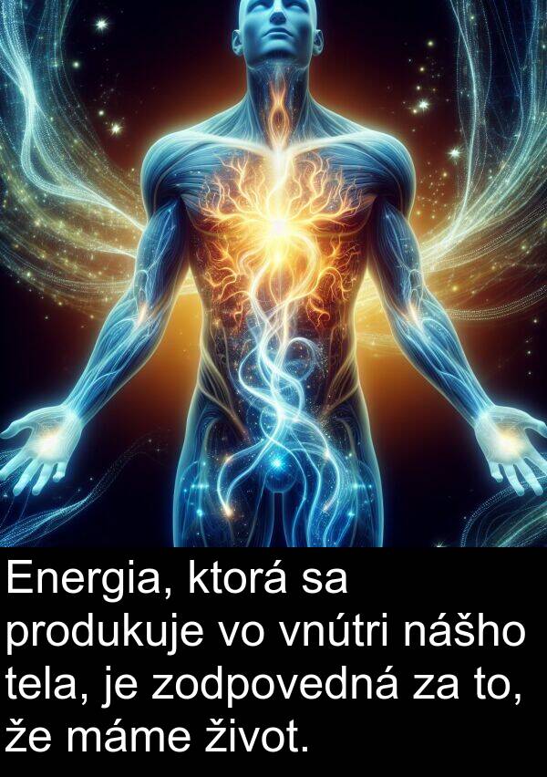 vnútri: Energia, ktorá sa produkuje vo vnútri nášho tela, je zodpovedná za to, že máme život.