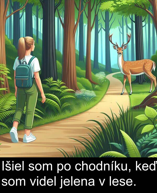 lese: Išiel som po chodníku, keď som videl jelena v lese.