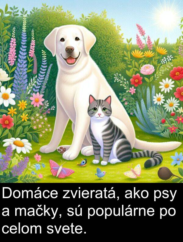 celom: Domáce zvieratá, ako psy a mačky, sú populárne po celom svete.