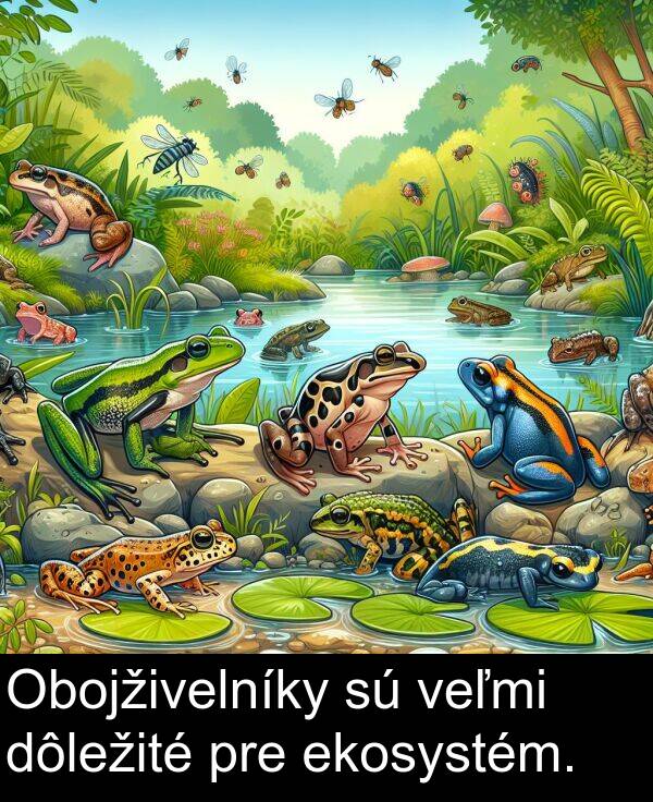 pre: Obojživelníky sú veľmi dôležité pre ekosystém.