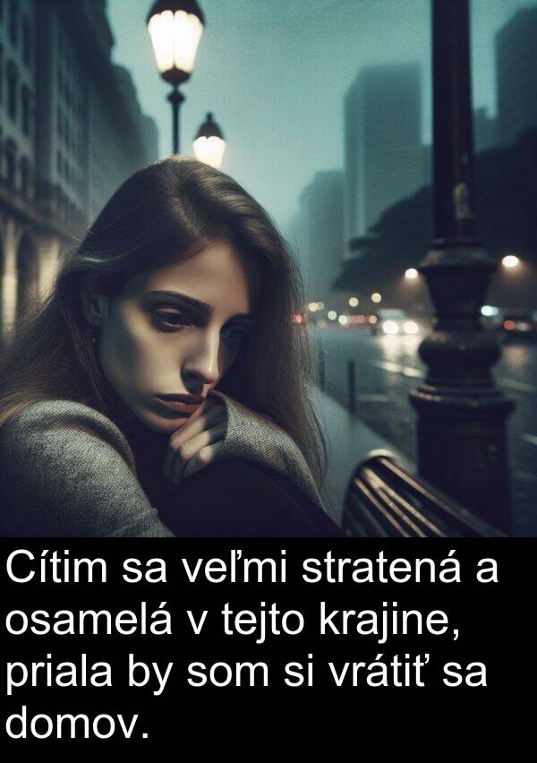 vrátiť: Cítim sa veľmi stratená a osamelá v tejto krajine, priala by som si vrátiť sa domov.