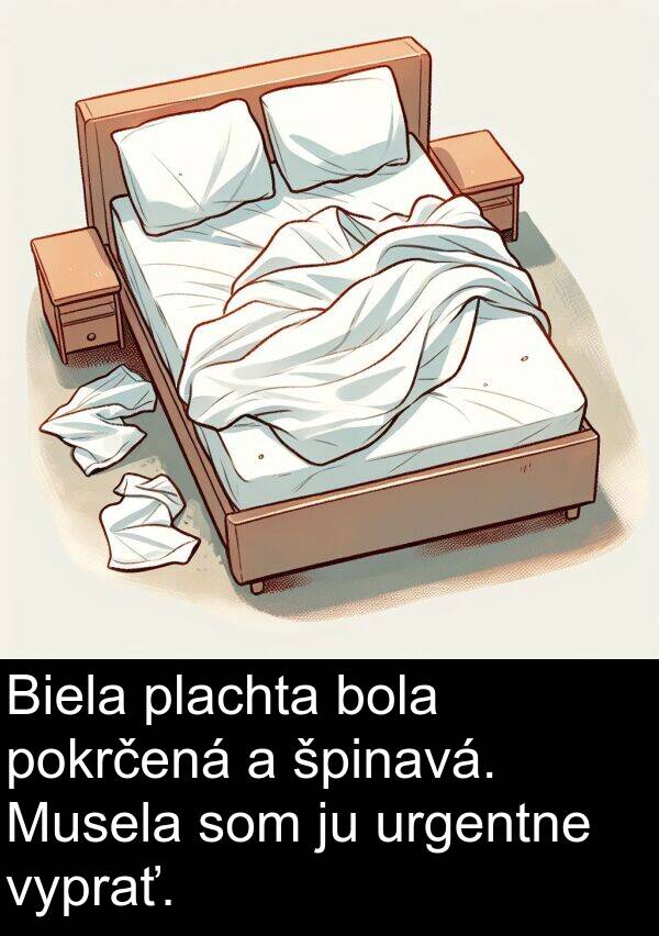 vyprať: Biela plachta bola pokrčená a špinavá. Musela som ju urgentne vyprať.