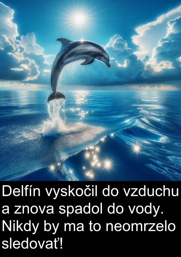 vody: Delfín vyskočil do vzduchu a znova spadol do vody. Nikdy by ma to neomrzelo sledovať!