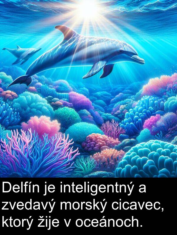 cicavec: Delfín je inteligentný a zvedavý morský cicavec, ktorý žije v oceánoch.