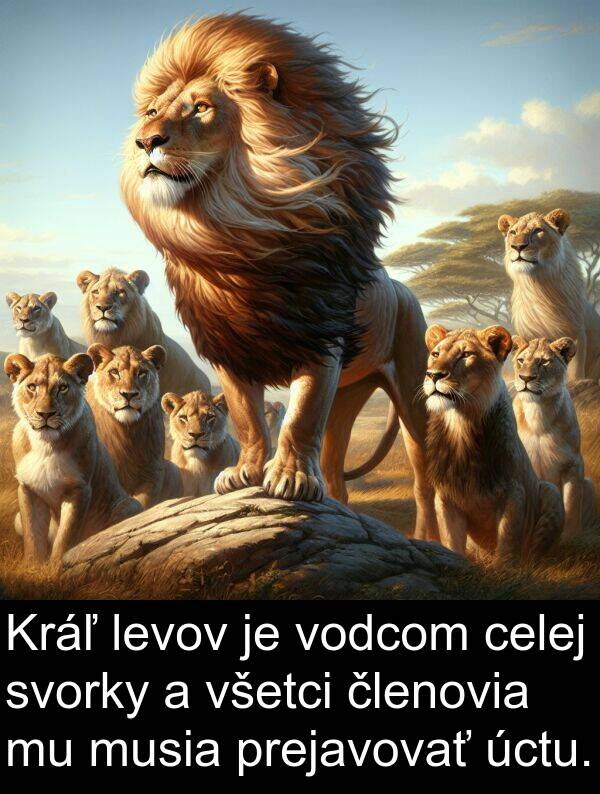 celej: Kráľ levov je vodcom celej svorky a všetci členovia mu musia prejavovať úctu.