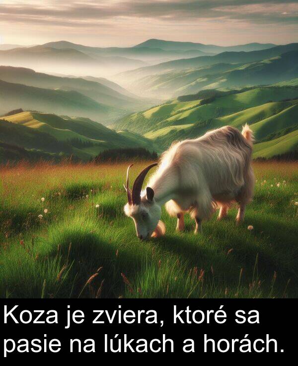 ktoré: Koza je zviera, ktoré sa pasie na lúkach a horách.