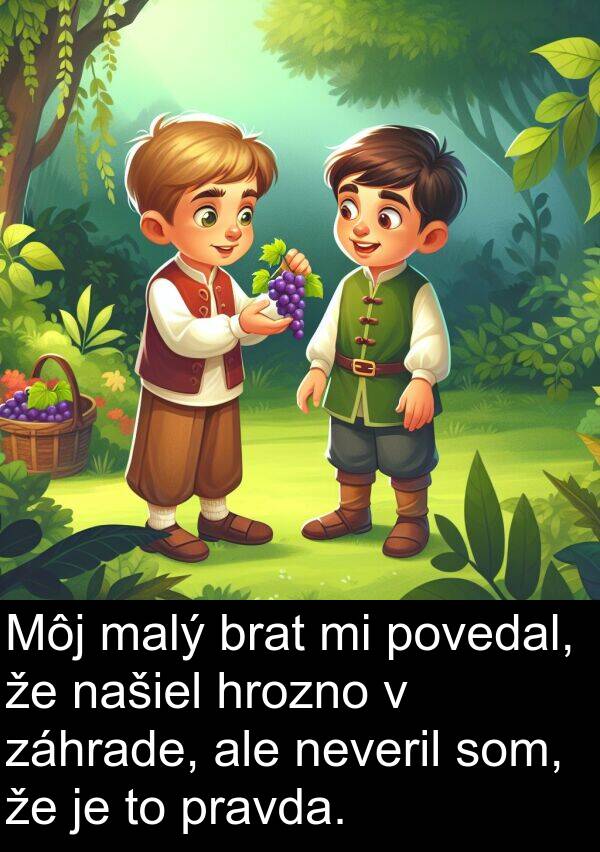 našiel: Môj malý brat mi povedal, že našiel hrozno v záhrade, ale neveril som, že je to pravda.