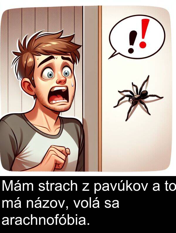 volá: Mám strach z pavúkov a to má názov, volá sa arachnofóbia.