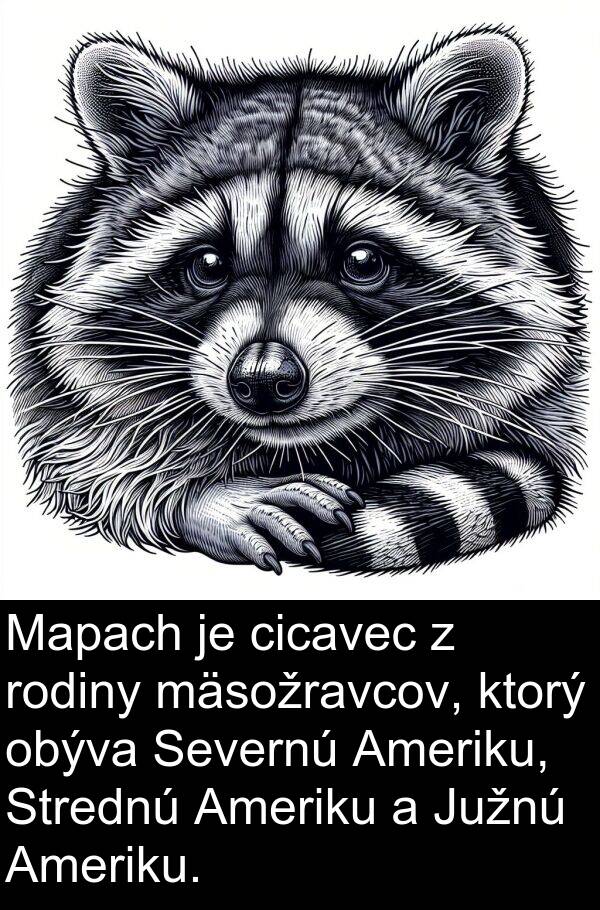 cicavec: Mapach je cicavec z rodiny mäsožravcov, ktorý obýva Severnú Ameriku, Strednú Ameriku a Južnú Ameriku.