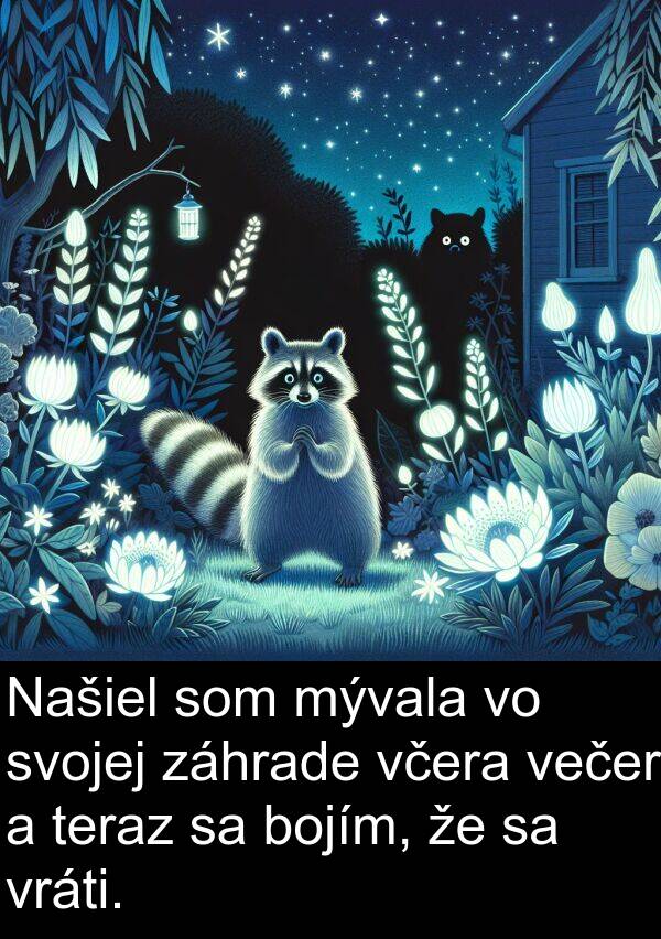 večer: Našiel som mývala vo svojej záhrade včera večer a teraz sa bojím, že sa vráti.