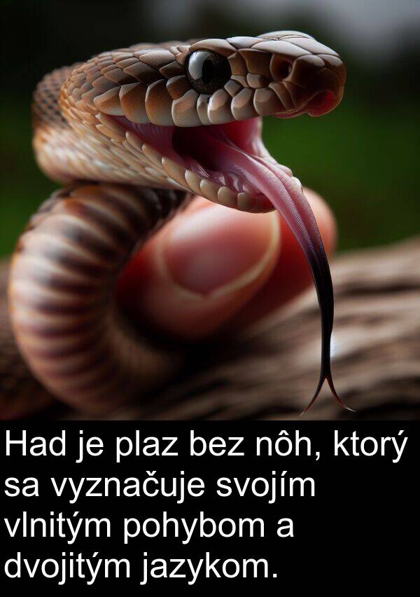 jazykom: Had je plaz bez nôh, ktorý sa vyznačuje svojím vlnitým pohybom a dvojitým jazykom.