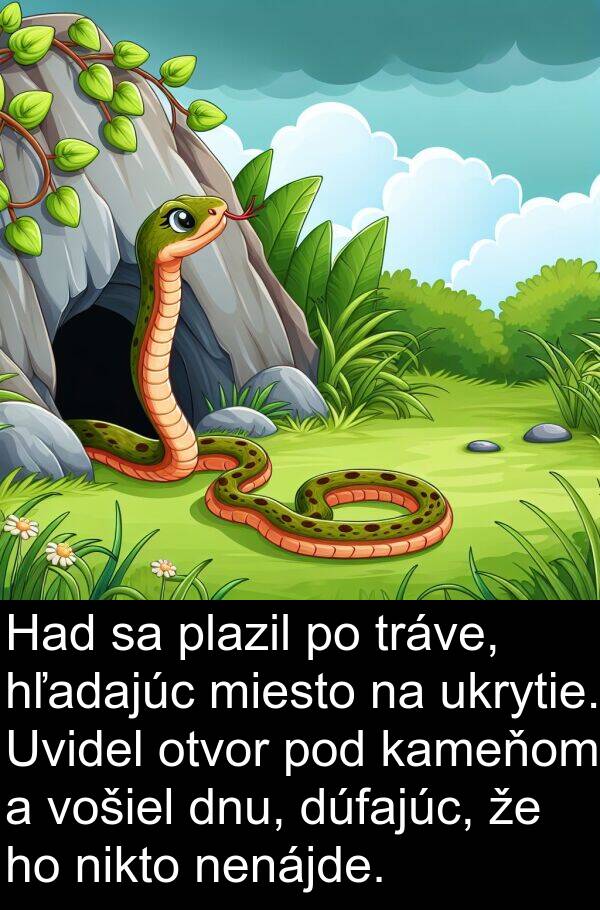 vošiel: Had sa plazil po tráve, hľadajúc miesto na ukrytie. Uvidel otvor pod kameňom a vošiel dnu, dúfajúc, že ho nikto nenájde.