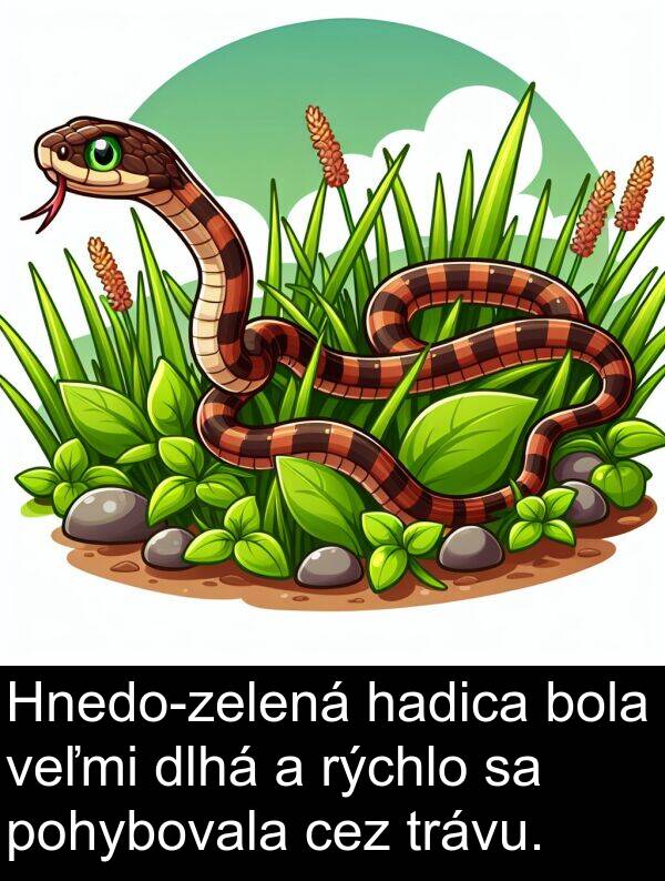 hadica: Hnedo-zelená hadica bola veľmi dlhá a rýchlo sa pohybovala cez trávu.