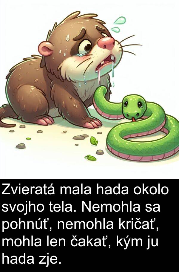 čakať: Zvieratá mala hada okolo svojho tela. Nemohla sa pohnúť, nemohla kričať, mohla len čakať, kým ju hada zje.