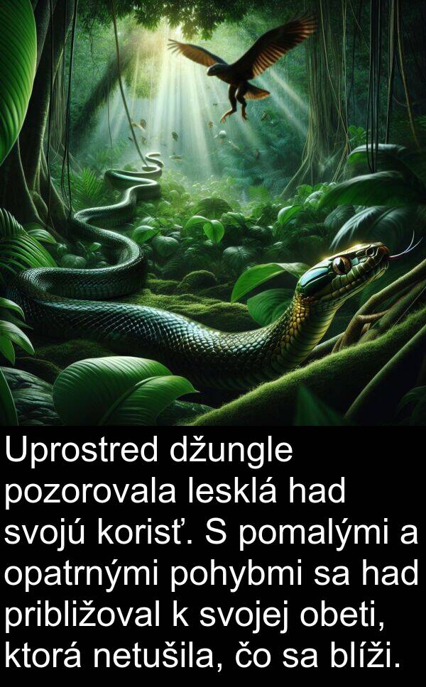 netušila: Uprostred džungle pozorovala lesklá had svojú korisť. S pomalými a opatrnými pohybmi sa had približoval k svojej obeti, ktorá netušila, čo sa blíži.