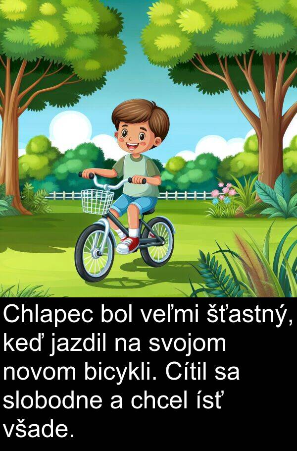 jazdil: Chlapec bol veľmi šťastný, keď jazdil na svojom novom bicykli. Cítil sa slobodne a chcel ísť všade.