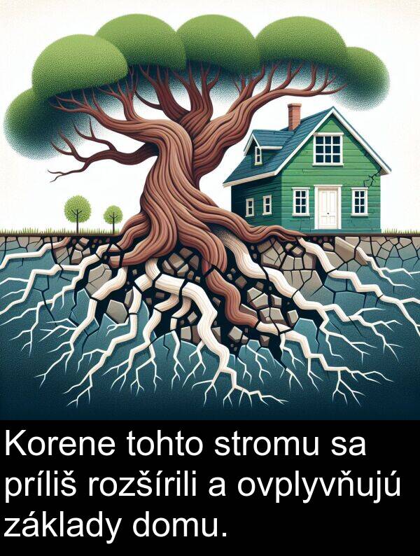 ovplyvňujú: Korene tohto stromu sa príliš rozšírili a ovplyvňujú základy domu.