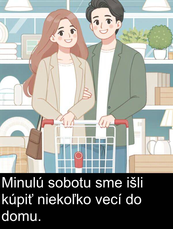 niekoľko: Minulú sobotu sme išli kúpiť niekoľko vecí do domu.