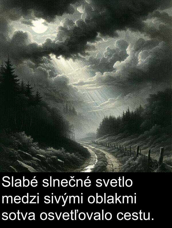 svetlo: Slabé slnečné svetlo medzi sivými oblakmi sotva osvetľovalo cestu.