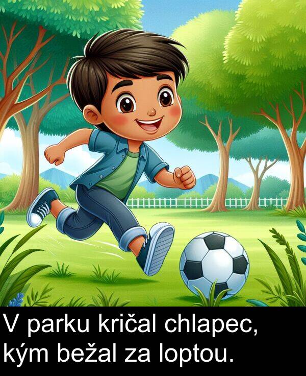 loptou: V parku kričal chlapec, kým bežal za loptou.