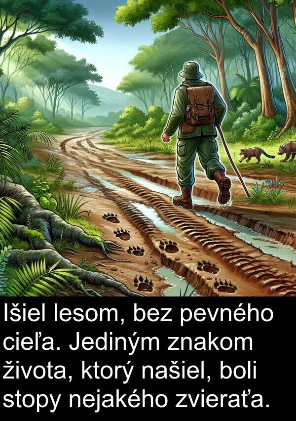 lesom: Išiel lesom, bez pevného cieľa. Jediným znakom života, ktorý našiel, boli stopy nejakého zvieraťa.