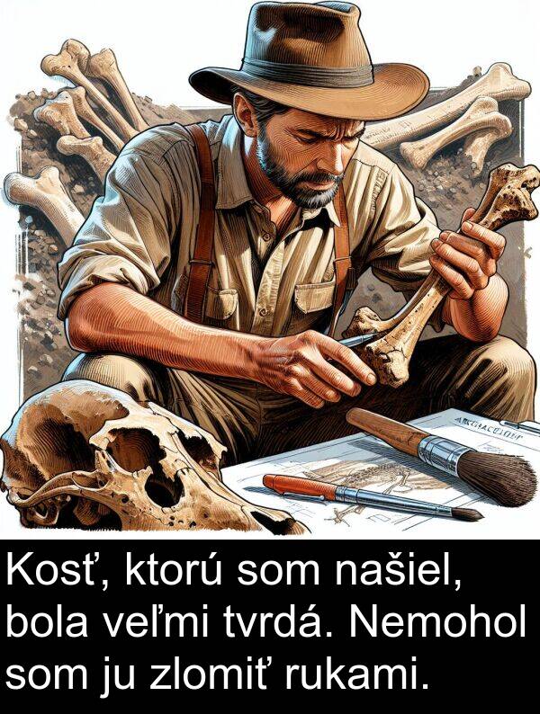 ktorú: Kosť, ktorú som našiel, bola veľmi tvrdá. Nemohol som ju zlomiť rukami.