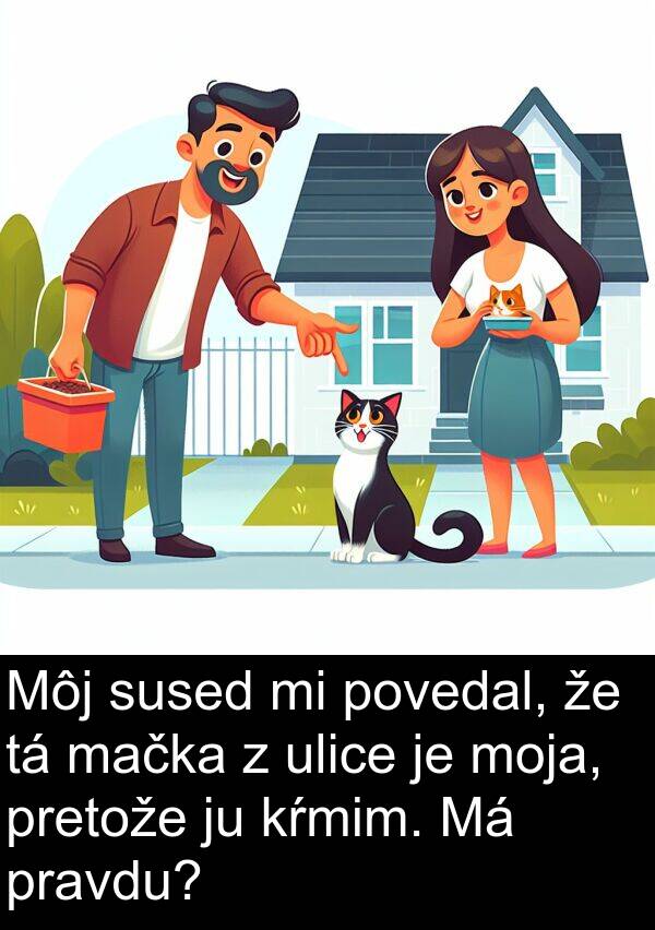sused: Môj sused mi povedal, že tá mačka z ulice je moja, pretože ju kŕmim. Má pravdu?